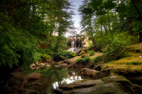 Mill Pond Stream and Dam