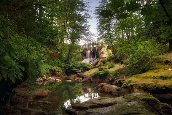 Mill Pond Stream and Dam
