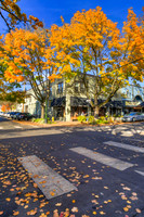 Downtown Camas Fall