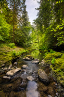 Lacamas creek 2