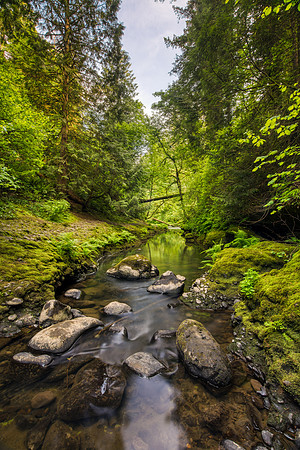 Lacamas creek 2