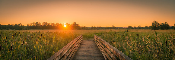 Ridgefield Refuge Bridge Sunset