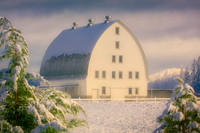 Country Barn Snow Morning