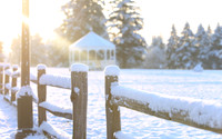 Snowy Fence