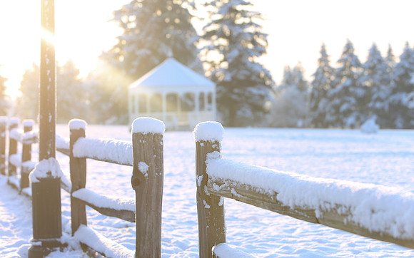 Snowy Fence