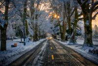 Snowy Road