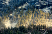 Eagle Creek area 6 months after the fire