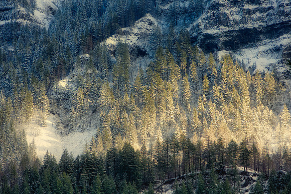 Eagle Creek area 6 months after the fire