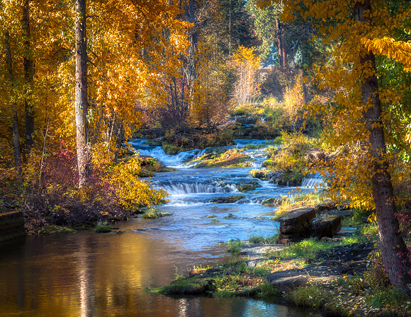 OUTS4289_AuroraHDR2019-edit-Edit_share