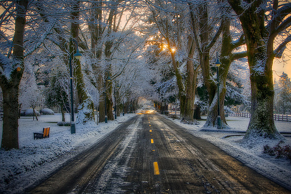Snowy Road